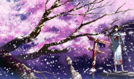 樱花树漫画,漫绘时光的静谧诗篇